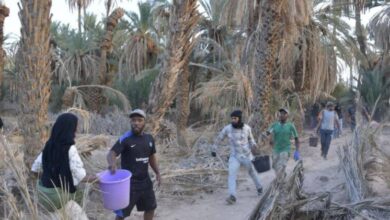 Photo of أتى على أشجار النخيل والمزروعات.. مطالب بتدخل مروحية “كانادير” لإخماد حريق طاطا المهول