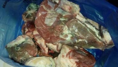 Photo of حجز أزيد من 200 كلغ من اللحوم الفاسدة بمرتيل وإغلاق محل متورط في الغش الغذائي