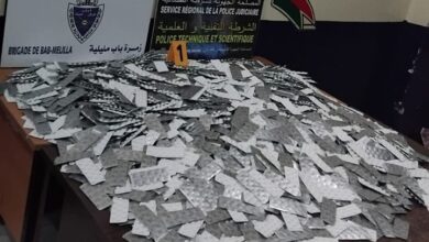 Photo of الأمن والجمارك بالناظور يفشلان تهريب كمية ضخمة من الأقراص المهلوسة