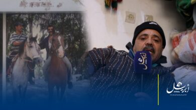 Photo of سائق متهور يقعد “مول العمارية”.. كسر خطير في الظهر وفقدان الخيل مصدر العيش