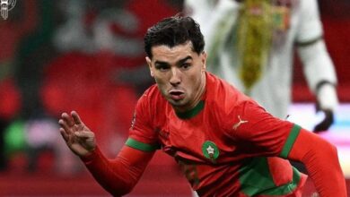 Photo of الأسود تواجه المنتخب الكاميروني في اختبار صعب
