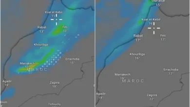 Photo of تقلبات جوية تضرب المملكة.. أمطار رعدية وثلوج ورياح قوية مع اقتراب منخفض جديد