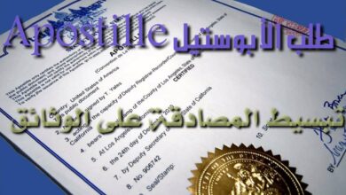 Photo of لتسهيل خدمات الجالية.. القنصلية المغربية بفالنسيا تطلق خدمة طلب بطاقة السوابق العدلية بخاتم “الأبوستيل”