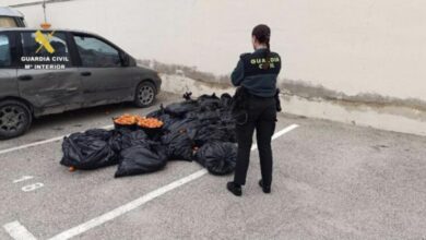 Photo of بعد مطاردة أمنية.. توقيف مغربيين بمورسيا متلبسين بسرقة 500 كلغ من “الماندرين”