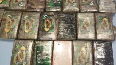 Photo of سقوط شحنة سموم بالكركارات.. 20 كلع من الكوكايين تطيح بشبكة دولية