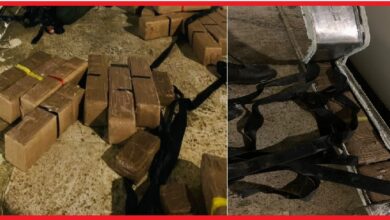 Photo of جمارك وأمن ميناء طنجة المتوسط يحبطان تهريب 490 كيلوغرامًا من الشيرا داخل شحنة فواكه