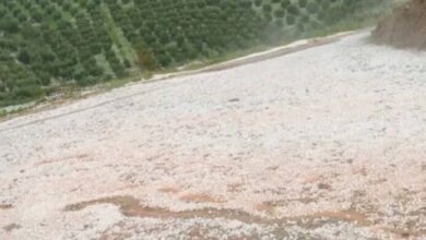 Photo of عاصفة قوية تضرب مدن مغربية وتلحق أضرارا بالمزروعات والممتلكات