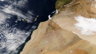 Photo of عاصفة رملية واسعة تغطي أجواء شمال إفريقيا وتمتد نحو الأطلسي