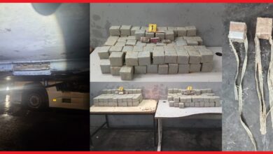 Photo of ضربة جديدة للتهريب الدولي.. حجز 181 كلغ من الشيرا بميناء طنجة المتوسط