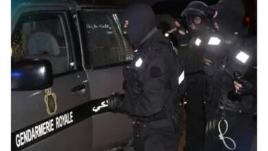 Photo of تهريب الحشيش عبر اختراقات جوية.. درك طنجة يضع يده على الفاعلين الحقيقيين