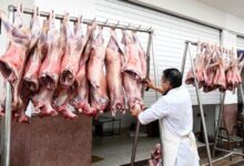 Photo of لهيب الأسعار يشتعل قبل العيد.. لحم الخروف يقترب من “الخط الأحمر” ويقلق الأسر المغربية