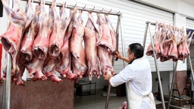 Photo of لهيب الأسعار يشتعل قبل العيد.. لحم الخروف يقترب من “الخط الأحمر” ويقلق الأسر المغربية