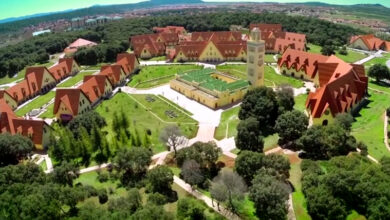 Photo of بعد سنوات الجفاف… إفران تستعيد سحرها الأخضر وتجذب الزوار