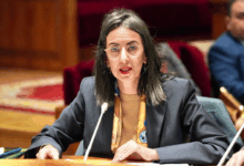 Photo of وزيرة المالية.. إعادة انتشار موظفي مكتب التسويق والتصدير دون المساس بمكتسباتهم