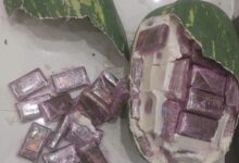 Photo of تمويه غير مسبوق.. قوالب حشيش على شكل “دلاح” تقود إلى تفكيك شبكة خطيرة باكزناية ضواحي طنجة
