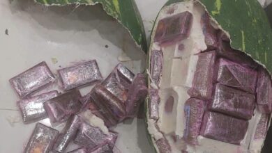 Photo of تمويه غير مسبوق.. قوالب حشيش على شكل “دلاح” تقود إلى تفكيك شبكة خطيرة باكزناية ضواحي طنجة
