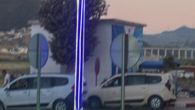 Photo of أين معايير الجمالية والسلامة؟.. سخرية واسعة من تزيين مدخل القصر الصغير