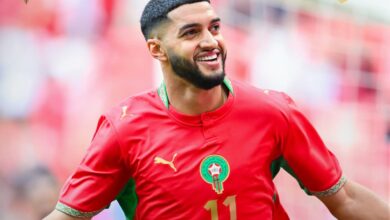 Photo of وهبي يطمئن الجماهير.. الأسود تكتسح مدغشقر قبل السفر إلى أمريكا