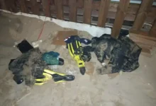 Photo of بعد خروجهما من البحر وتغيير ملابسهما.. الأمن يطارد شخصين مجهولي الهوية بالسعيدية