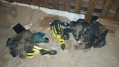 Photo of بعد خروجهما من البحر وتغيير ملابسهما.. الأمن يطارد شخصين مجهولي الهوية بالسعيدية