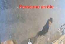 Photo of بعد انتشار فيديو مثير.. أمن طنجة يوقف شابا متورطا في التخريب والتهديد بالعنف