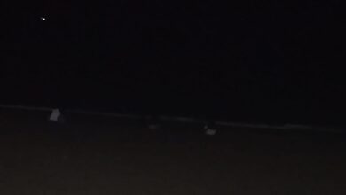 Photo of انحرافات وسلوكيات مخلة .. مصطافون يطالبون بتكثيف دوريات الأمن بشاطئ مكاد بوادلو