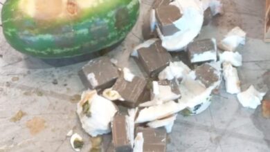 Photo of ضربة جديدة للتهريب الدولي.. الأمن والجمارك يحبطان تهريب 350 كلغ من الشيرا بطنجة المتوسط
