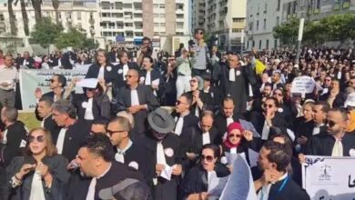 Photo of المحامون الشباب يرفعون سقف التصعيد ضد قانون المهنة ويقترحون مقاطعة الانتخابات