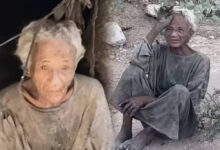 Photo of مأساة حسيبة تهز الضمير العام.. ثمانينية تتخذ من كهف مأوى وسط تساؤلات عن غياب الرعاية الاجتماعية