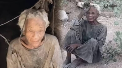 Photo of مأساة حسيبة تهز الضمير العام.. ثمانينية تتخذ من كهف مأوى وسط تساؤلات عن غياب الرعاية الاجتماعية
