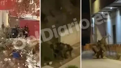 Photo of مدريد تفتح تحقيقاً بشأن تعامل عسكريين مع مهاجرين في سبتة