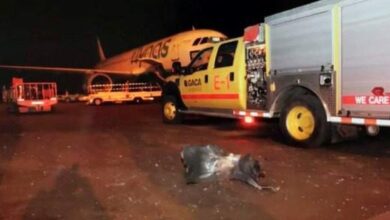Photo of السعودية تعلن وفاة مغربية بعد اعتداءات الحوثيين على مطاري الرياض وأبها