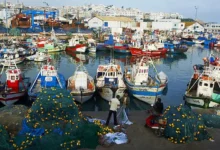Photo of  أزمة الكازوال تشعل الاحتقان بميناء طنجة.. ربابنة يلوحون بوقف الإبحار ومئات البحارة مهددون بفقدان مصدر رزقهم