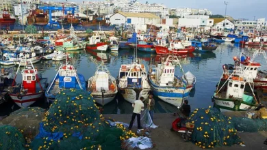 Photo of  أزمة الكازوال تشعل الاحتقان بميناء طنجة.. ربابنة يلوحون بوقف الإبحار ومئات البحارة مهددون بفقدان مصدر رزقهم